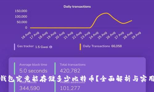 硬件钱包究竟能存储多少比特币？全面解析与实用指南