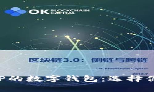 探索最适合XRP的数字钱包：选择你的安全守护者