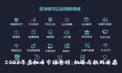 2023年虚拟币市场整顿：机遇与挑战并