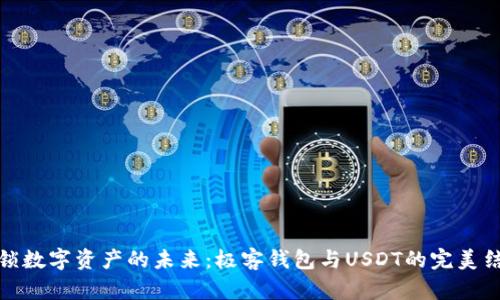 解锁数字资产的未来：极客钱包与USDT的完美结合