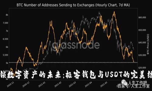 解锁数字资产的未来：极客钱包与USDT的完美结合