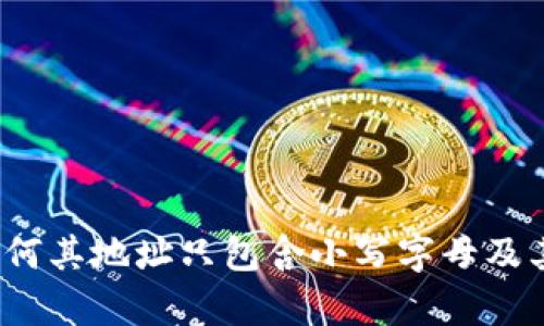 理解tpWallet：为何其地址只包含小写字母及其背后的设计理念