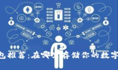 最佳USDT钱包推荐：在哪里存储你的数