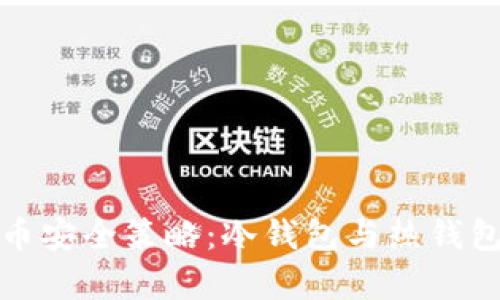 数字货币安全策略：冷钱包与热钱包全解析
