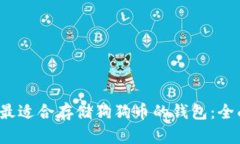  选择最适合存储狗狗币的钱包：全面