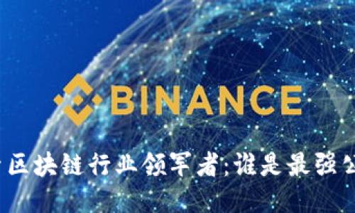 探索区块链行业领军者：谁是最强公司？