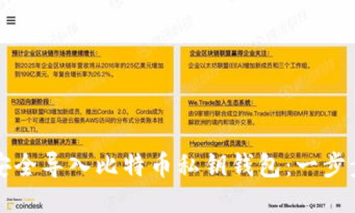 如何安全导入比特币私钥钱包：一步步指南