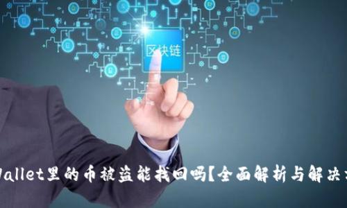 tpWallet里的币被盗能找回吗？全面解析与解决方案