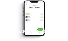 如何有效地对接XRP钱包：完整指南与最