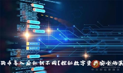 狗狗币导入后私钥不同？探秘数字资产安全的真相